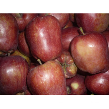 Хороший вкусный / для глобального рынка / Fresh Red Huaniu Apple (80-88)